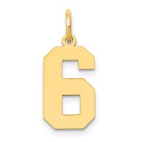 14K Yellow Gold Medium Polished Number 6 Charm view 1