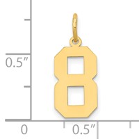 14K Medium Polished Number 8 Charm view 4