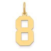 14K Medium Polished Number 8 Charm view 1