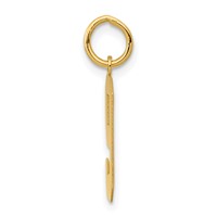 14K Yellow Gold Medium Polished Number 9 Charm view 2