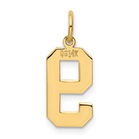 14K Yellow Gold Medium Polished Number 9 Charm view 3