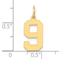 14K Yellow Gold Medium Polished Number 9 Charm view 4