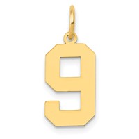 14K Yellow Gold Medium Polished Number 9 Charm view 1