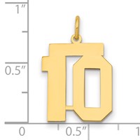 14K Yellow Gold Medium Polished Number 10 Charm view 2
