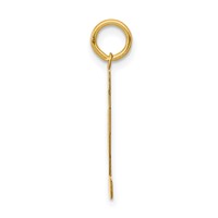 14K Yellow Gold Medium Polished Number 12 Charm view 2