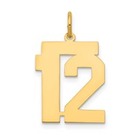 14K Yellow Gold Medium Polished Number 12 Charm view 1