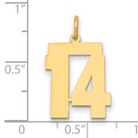 14K Yellow Gold Medium Polished Number 14 Charm view 2