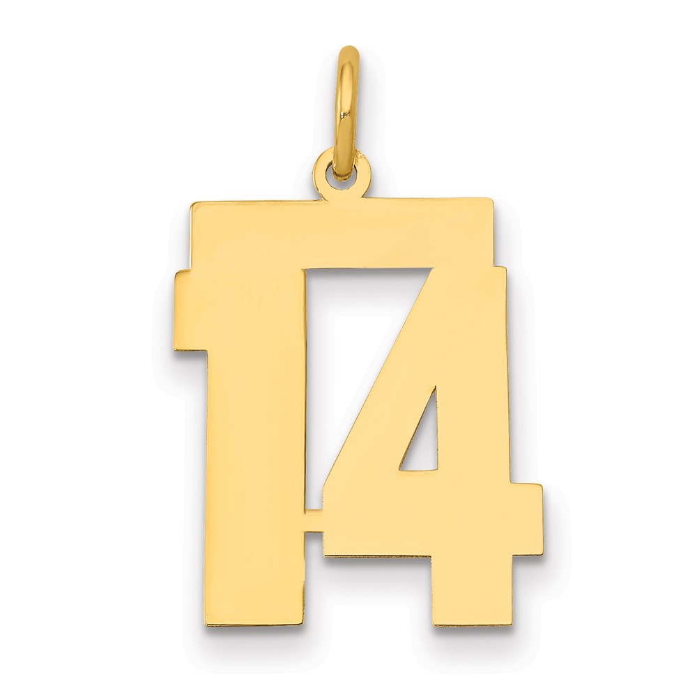 14K Yellow Gold Medium Polished Number 14 Charm