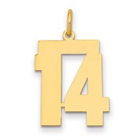 14K Yellow Gold Medium Polished Number 14 Charm view 1