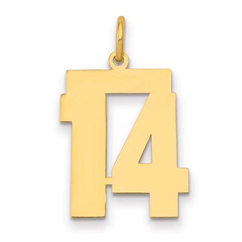 14K Yellow Gold Medium Polished Number 14 Charm