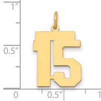 14K Yellow Gold Medium Polished Number 15 Charm view 2