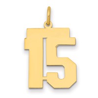 14K Yellow Gold Medium Polished Number 15 Charm view 1