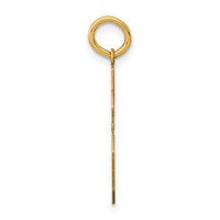 14K Yellow Gold Medium Polished Number 16 Charm view 2