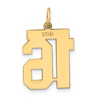 14K Yellow Gold Medium Polished Number 16 Charm view 3