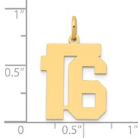 14K Yellow Gold Medium Polished Number 16 Charm view 4