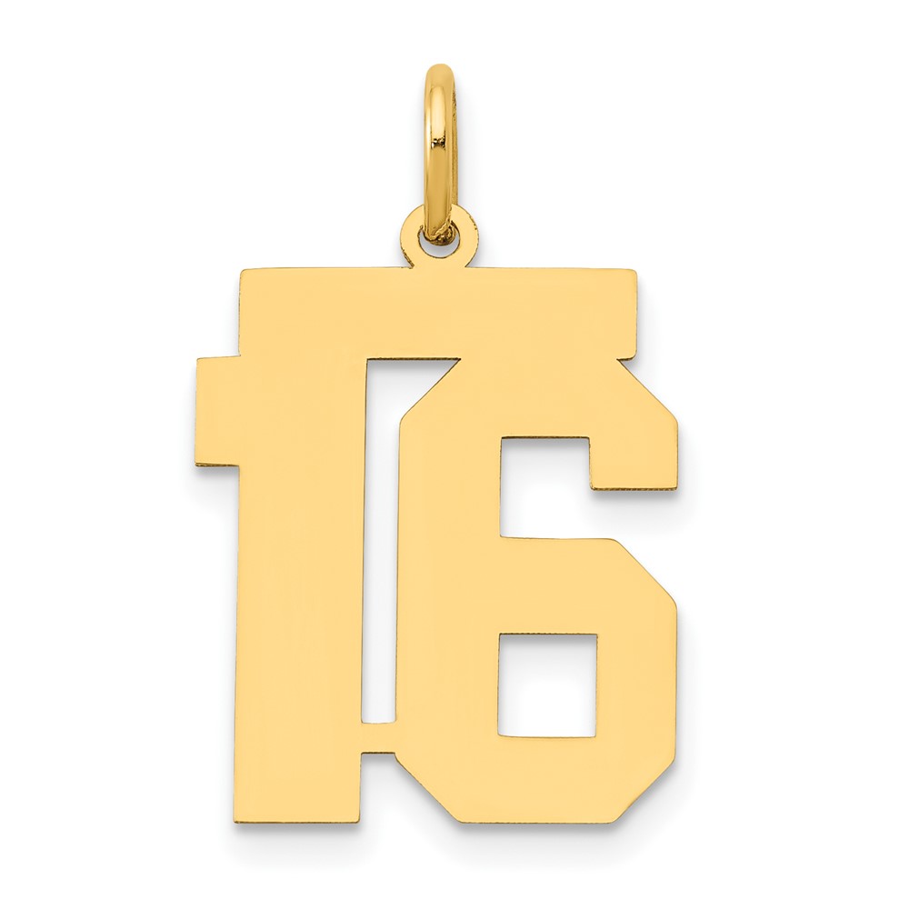 14K Yellow Gold Medium Polished Number 16 Charm