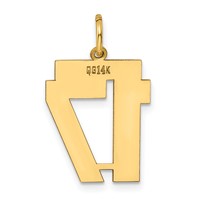 14K Yellow Gold Medium Polished Number 17 Charm view 3