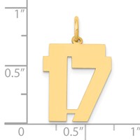 14K Yellow Gold Medium Polished Number 17 Charm view 4