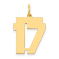 14K Yellow Gold Medium Polished Number 17 Charm view 1