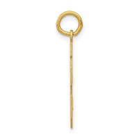 14K Yellow Gold Medium Polished Number 18 Charm view 2