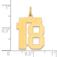 14K Yellow Gold Medium Polished Number 18 Charm view 3