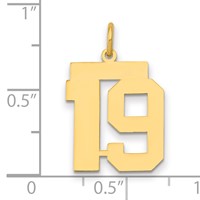 14K Yellow Gold Medium Polished Number 19 Charm view 2