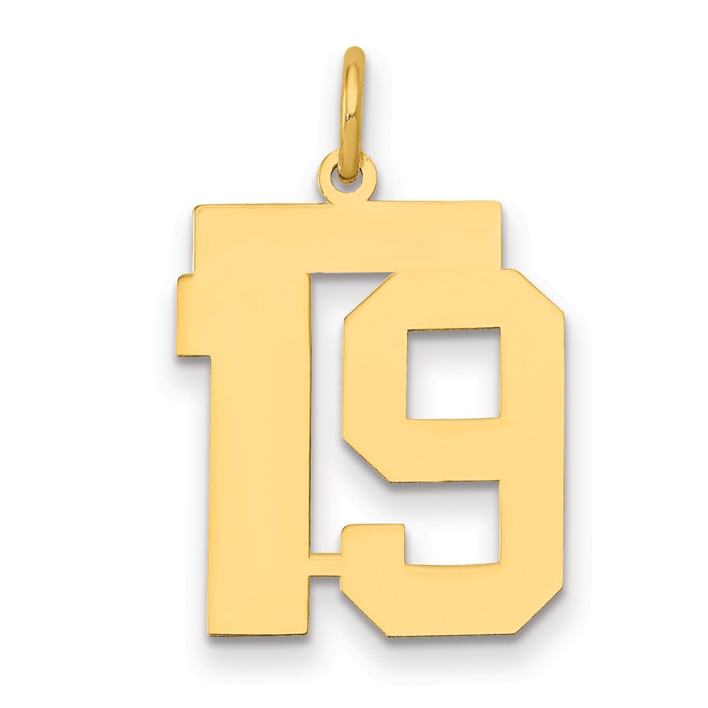 14K Yellow Gold Medium Polished Number 19 Charm