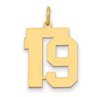 14K Yellow Gold Medium Polished Number 19 Charm view 1