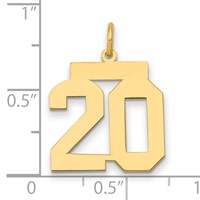 14K Yellow Gold Medium Polished Number 20 Charm view 2