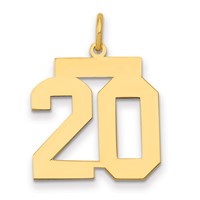 14K Yellow Gold Medium Polished Number 20 Charm view 1