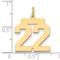 14K Yellow Gold Medium Polished Number 22 Charm view 2