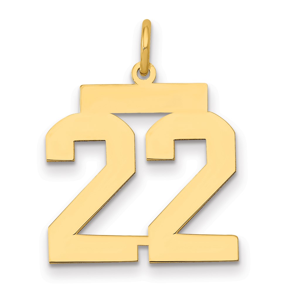 14K Yellow Gold Medium Polished Number 22 Charm
