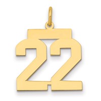 14K Yellow Gold Medium Polished Number 22 Charm view 1