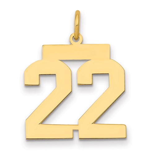 14K Yellow Gold Medium Polished Number 22 Charm
