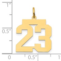 14K Yellow Gold Medium Polished Number 23 Charm view 3