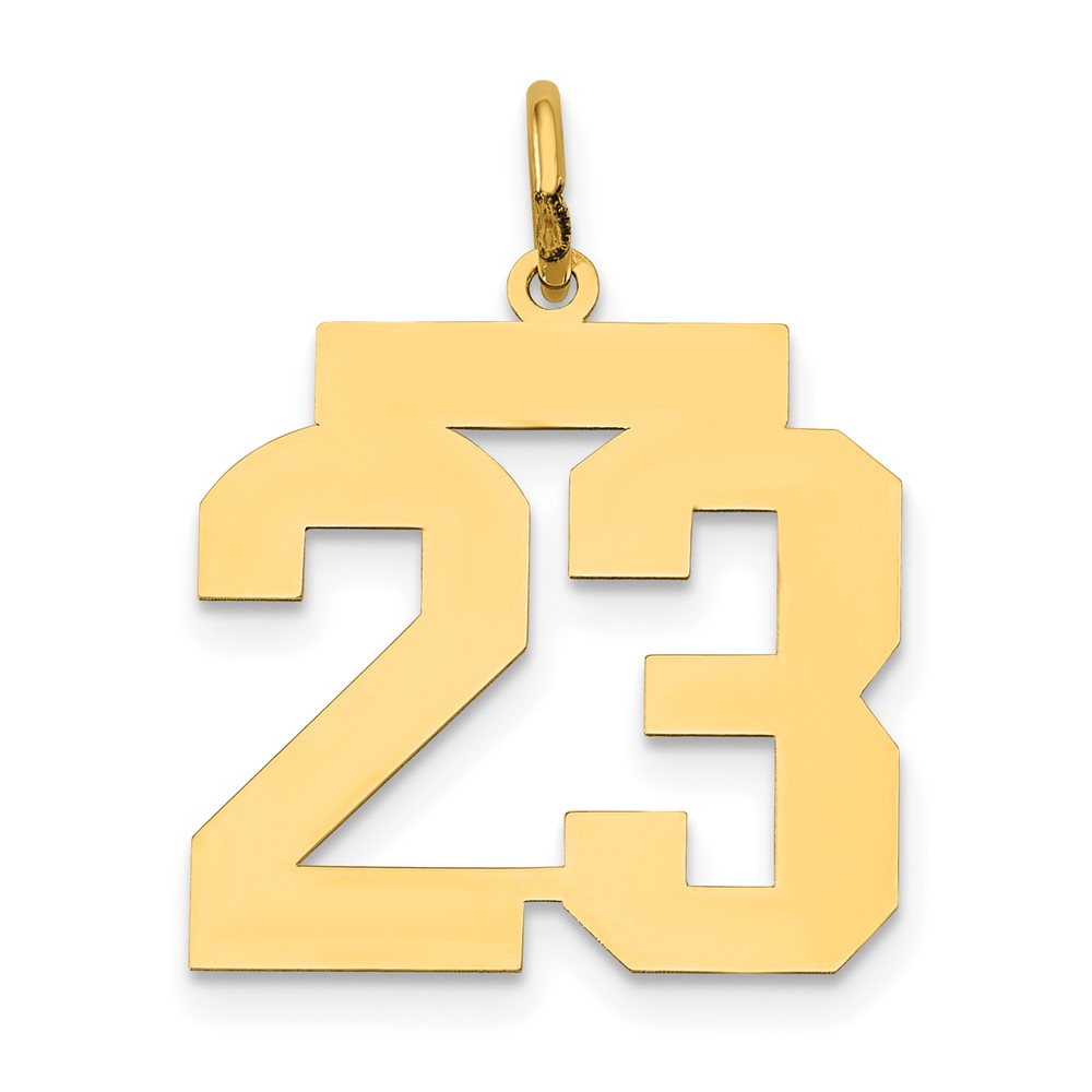 14K Yellow Gold Medium Polished Number 23 Charm