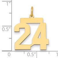 14K Yellow Gold Medium Polished Number 24 Charm view 2