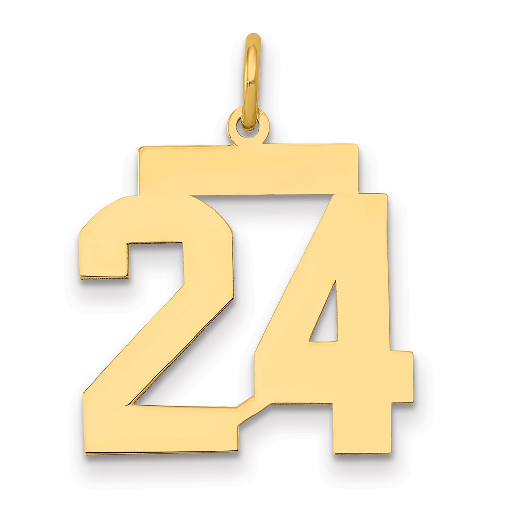 14K Yellow Gold Medium Polished Number 24 Charm