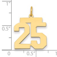 14K Medium Polished Number 25 Charm view 2