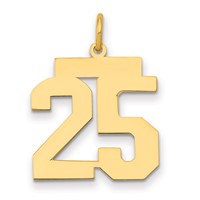 14K Medium Polished Number 25 Charm view 1