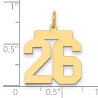 14K Yellow Gold Medium Polished Number 26 Charm view 2