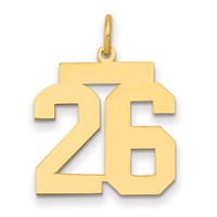 14K Yellow Gold Medium Polished Number 26 Charm view 1