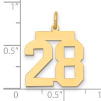 14K Medium Polished Number 28 Charm view 2