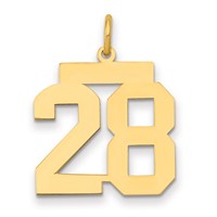 14K Medium Polished Number 28 Charm view 1