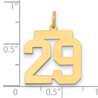 14K Yellow Gold Medium Polished Number 29 Charm view 2