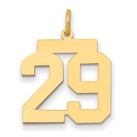 14K Yellow Gold Medium Polished Number 29 Charm view 1
