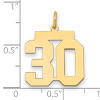 14K Yellow Gold Medium Polished Number 30 Charm view 2