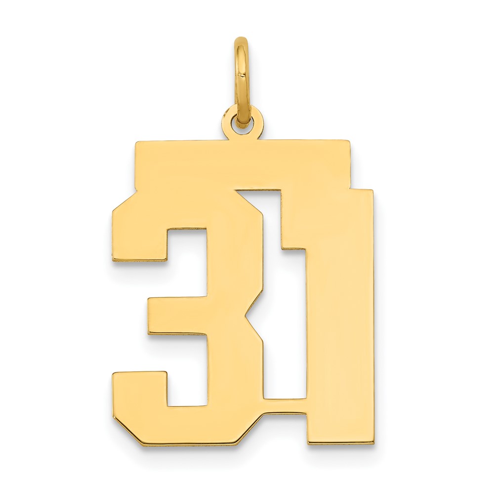 14K Medium Polished Number 31 Charm