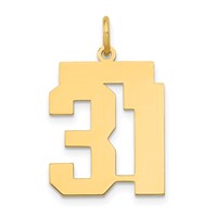 14K Medium Polished Number 31 Charm view 1