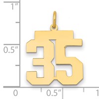 14K Yellow Gold Medium Polished Number 35 Charm view 2